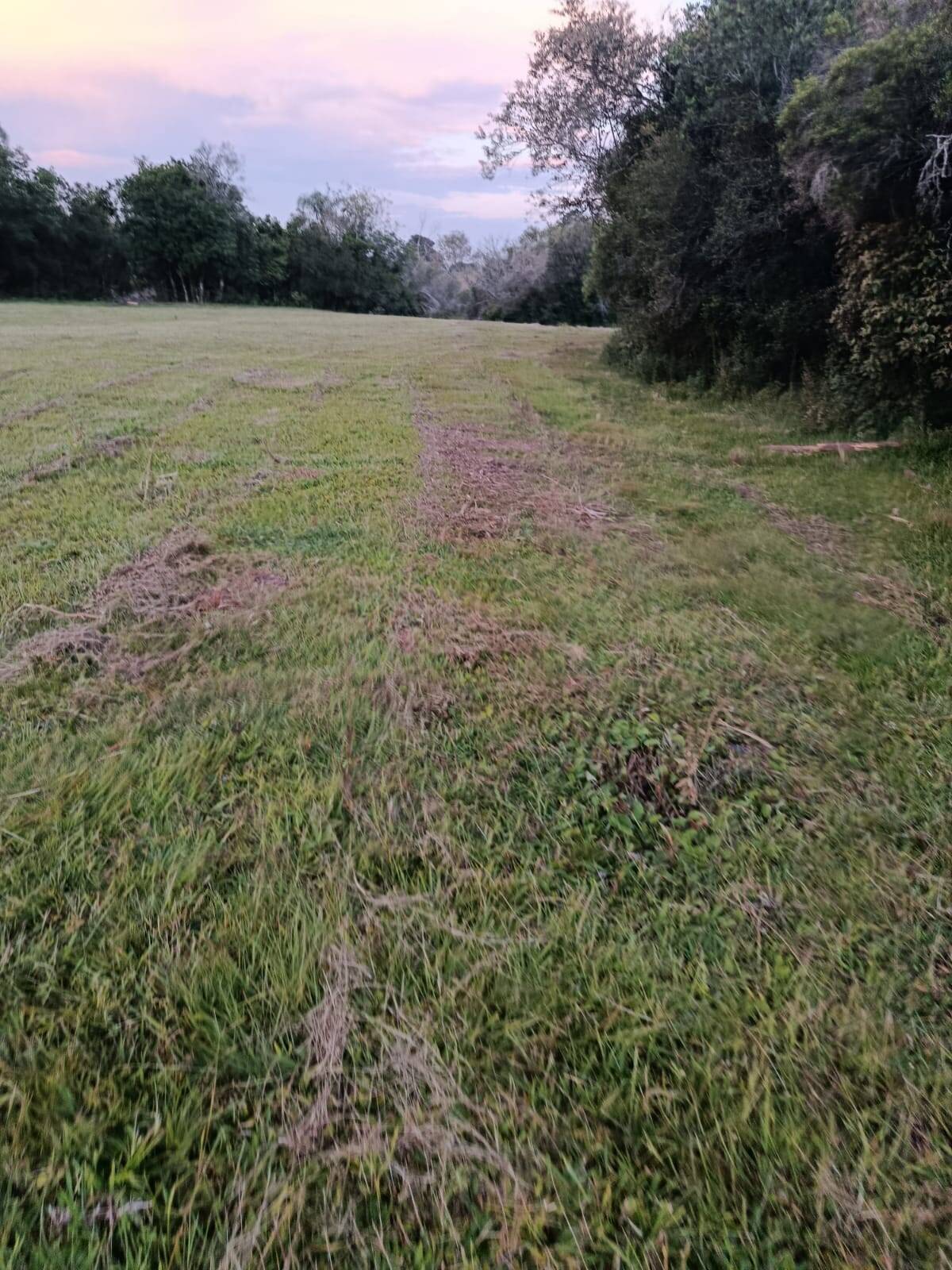 Terreno, 7 hectares - Foto 13