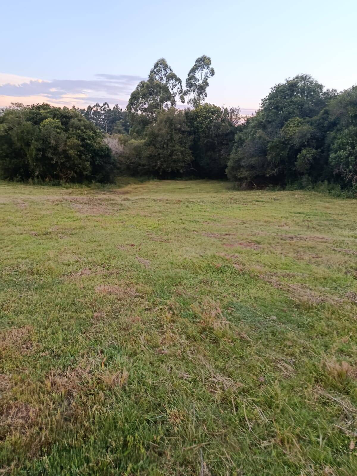 Terreno, 7 hectares - Foto 14