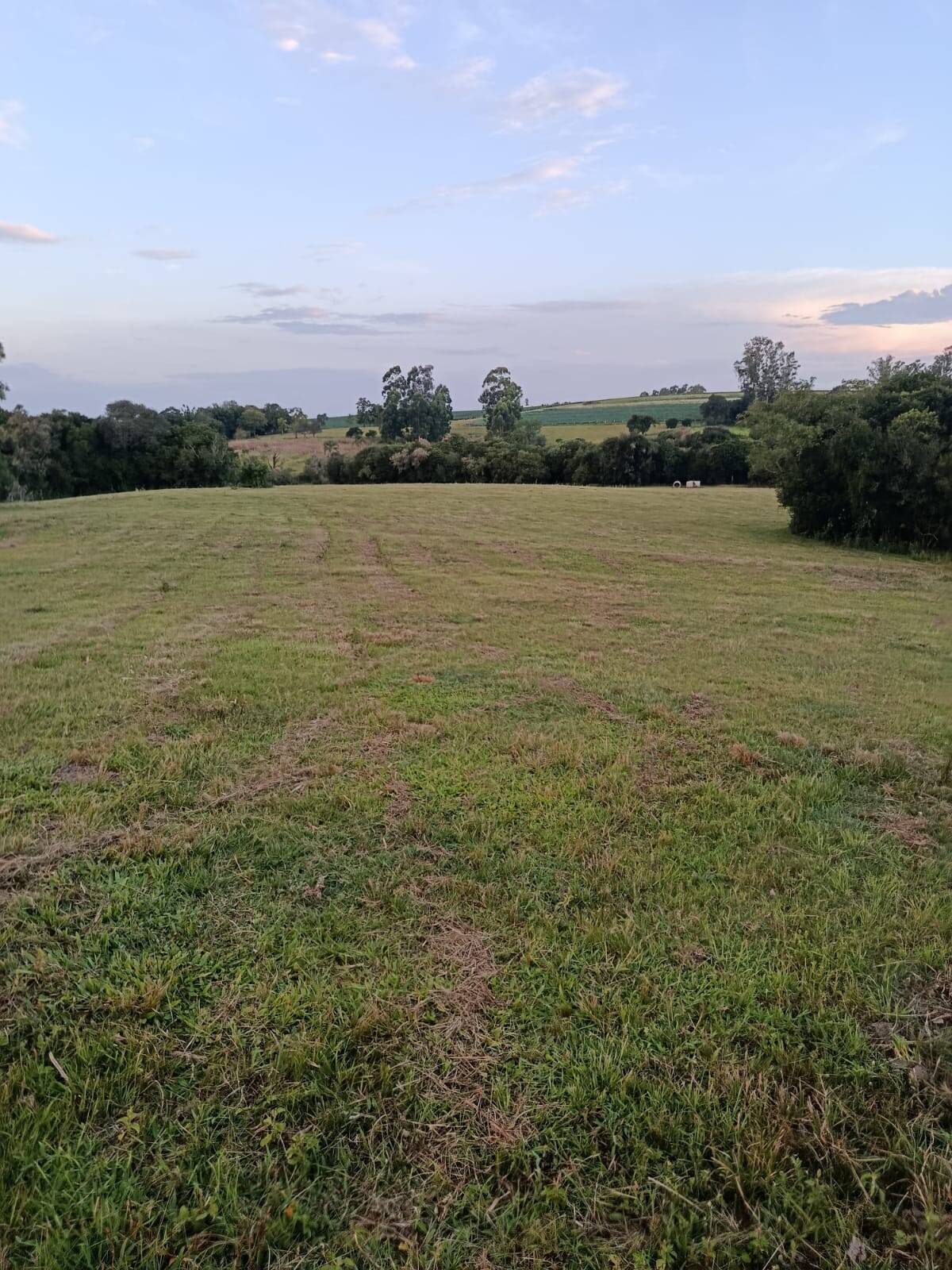 Terreno, 7 hectares - Foto 18