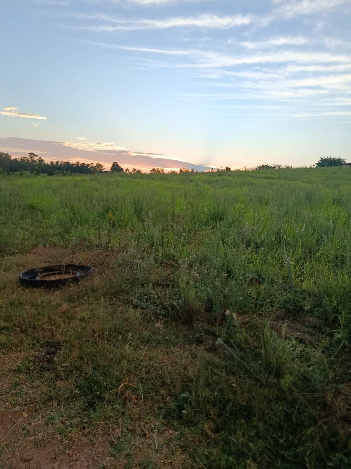 Terreno, 7 hectares - Foto 17