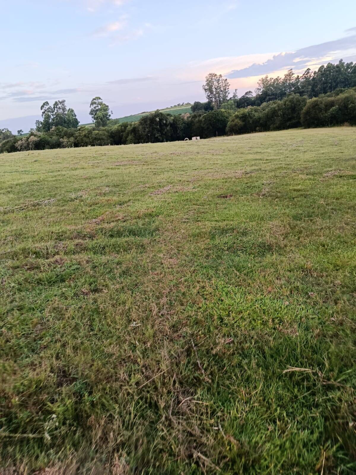 Terreno, 7 hectares - Foto 19