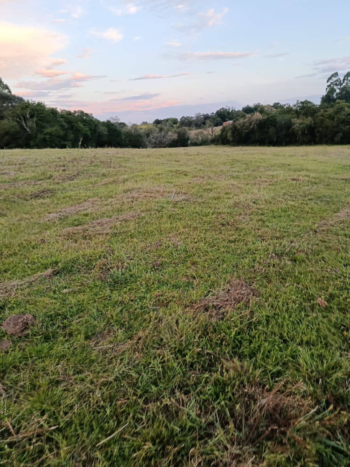 Terreno, 7 hectares - Foto 22