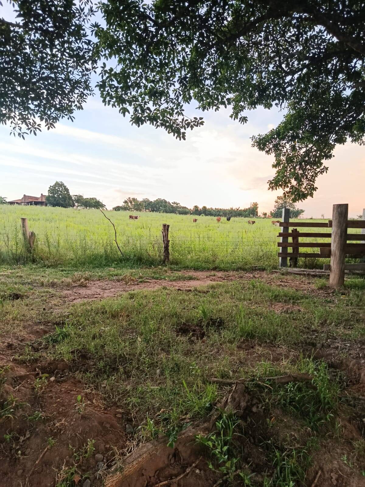 Terreno, 7 hectares - Foto 23