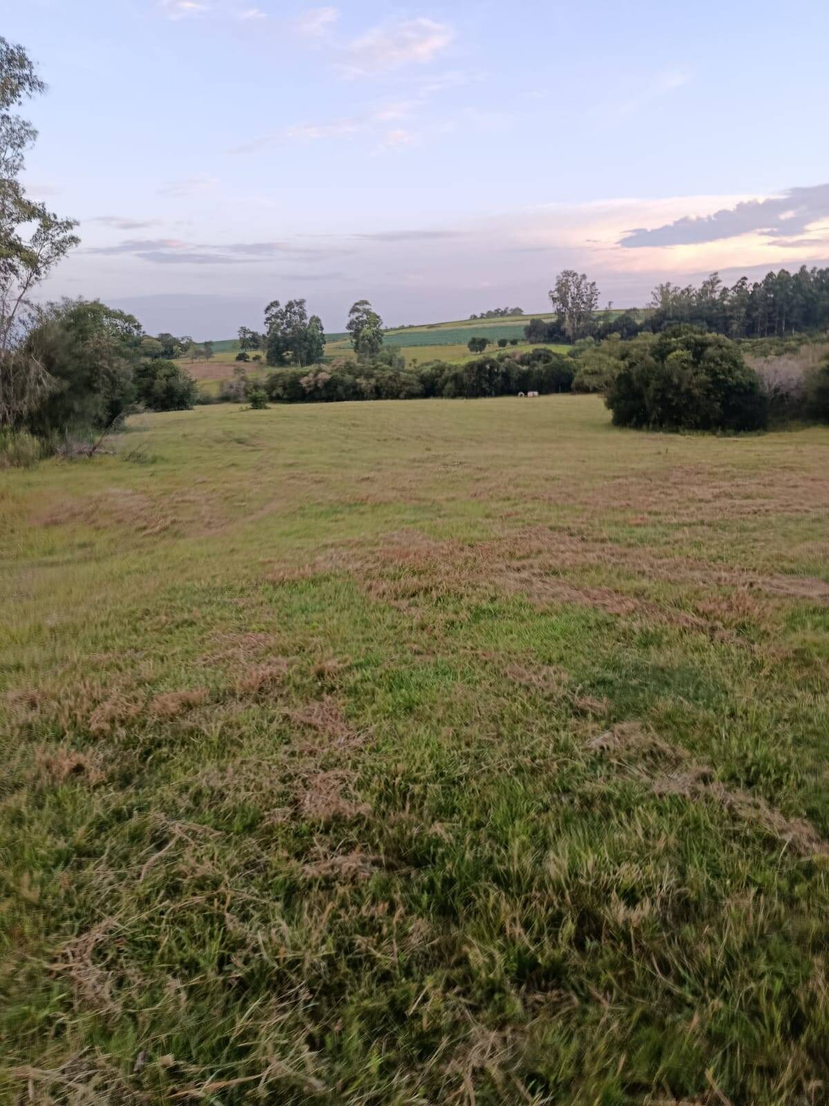 Terreno, 7 hectares - Foto 24