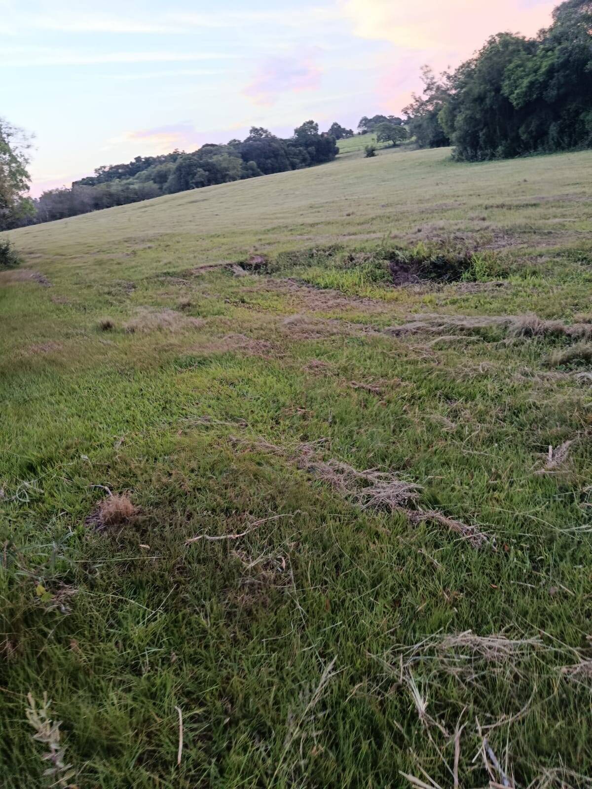 Terreno, 7 hectares - Foto 27