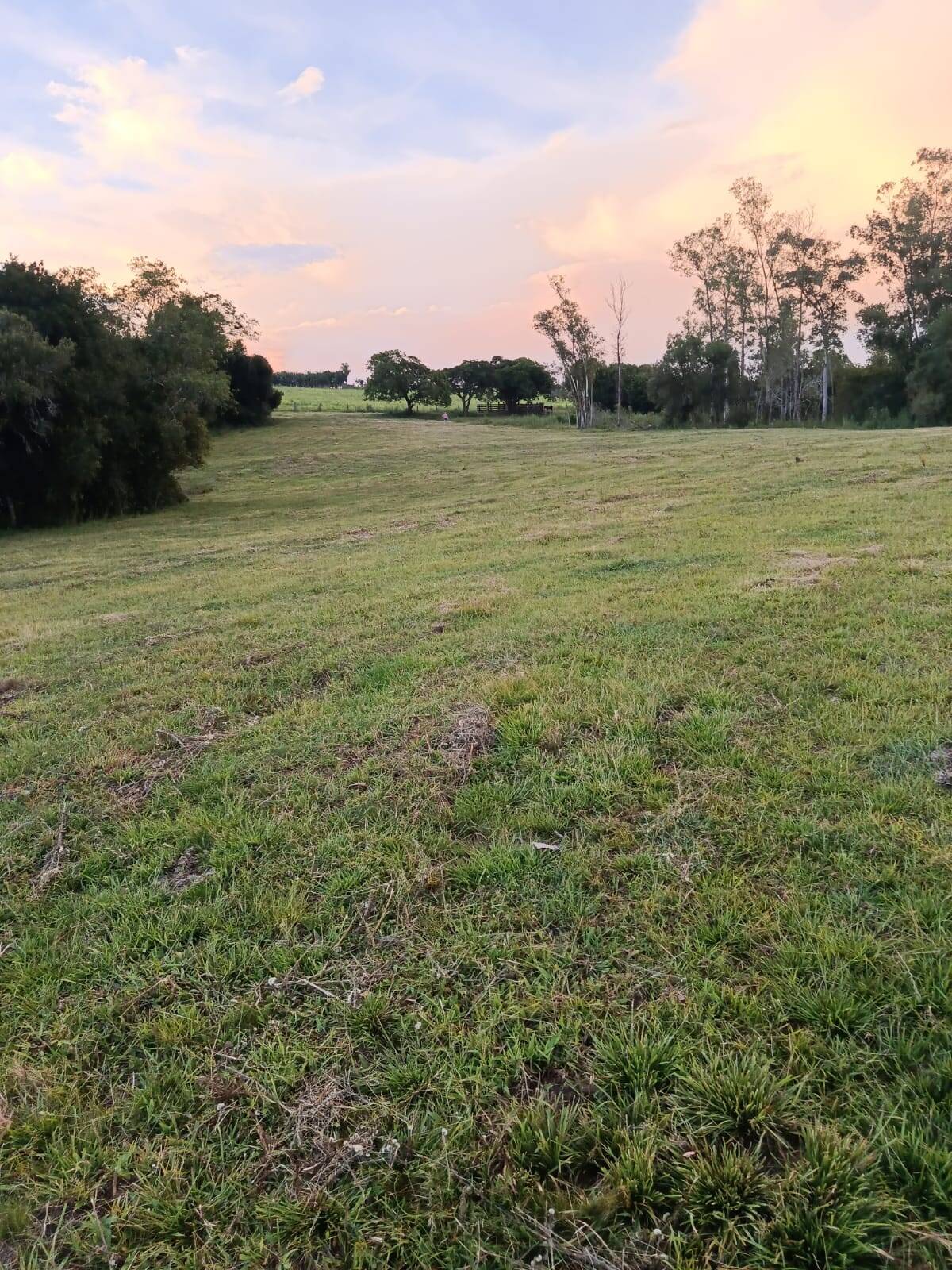 Terreno, 7 hectares - Foto 28