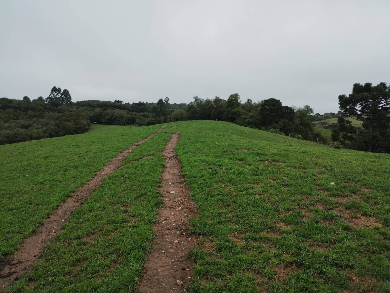 Terreno - Foto 1