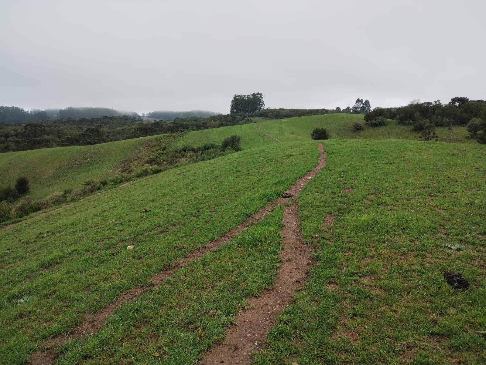 Terreno - Foto 2