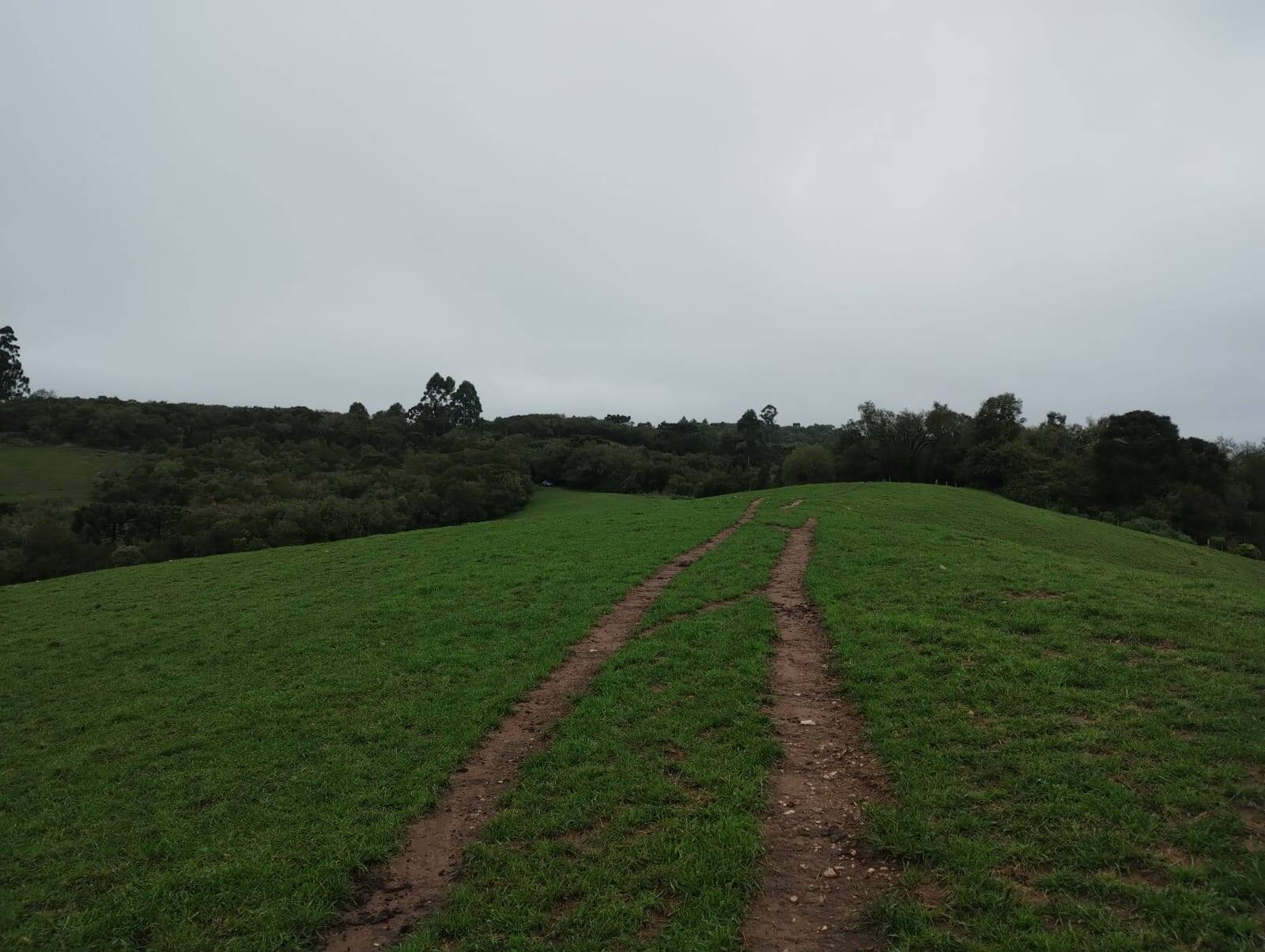 Terreno - Foto 4