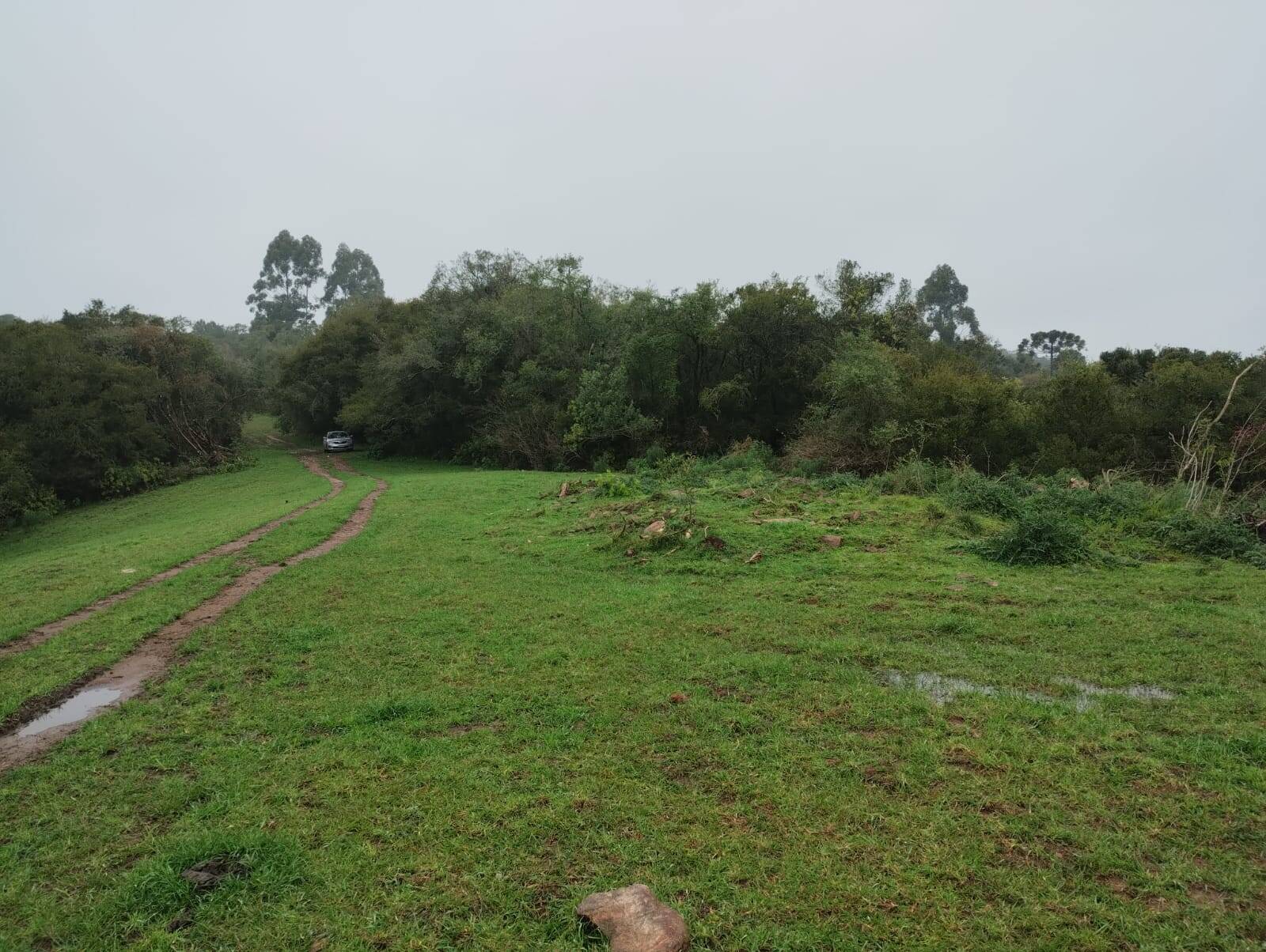 Terreno - Foto 7