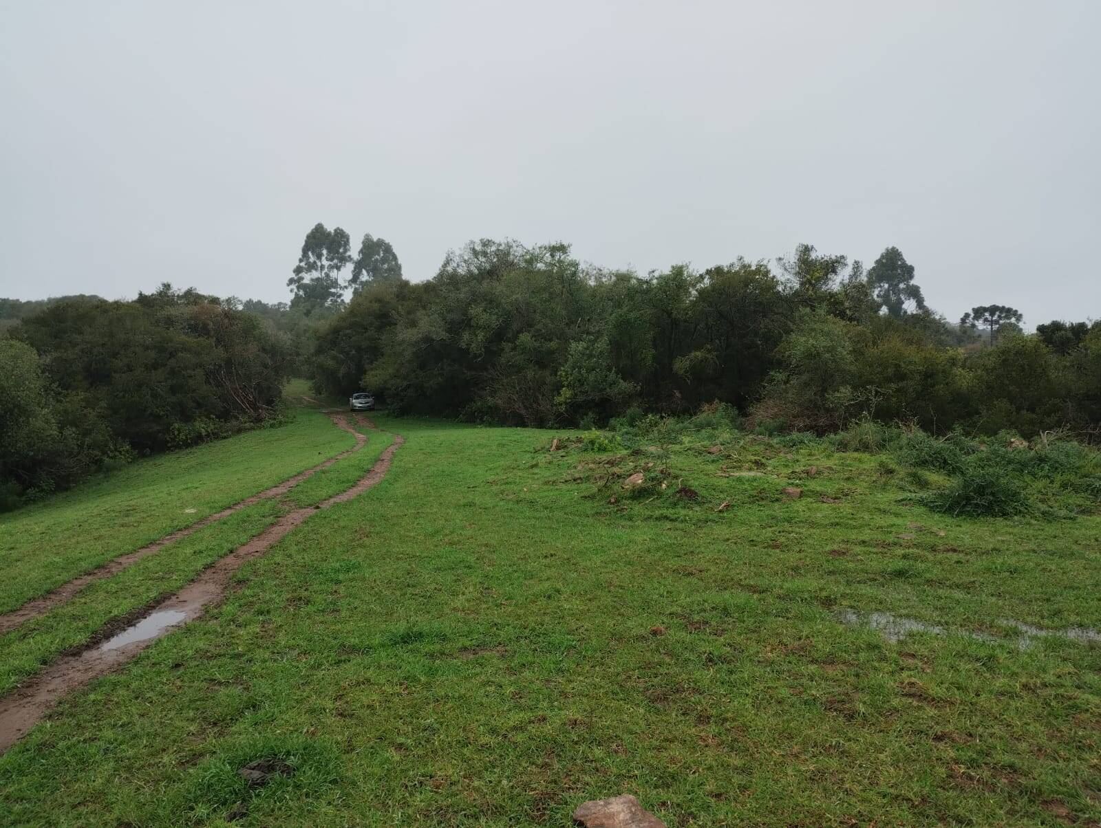 Terreno - Foto 8