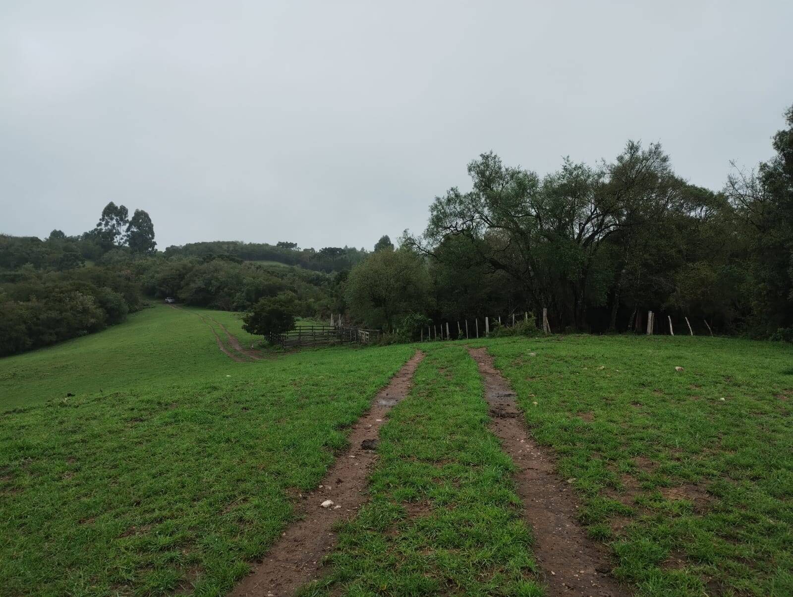 Terreno - Foto 10