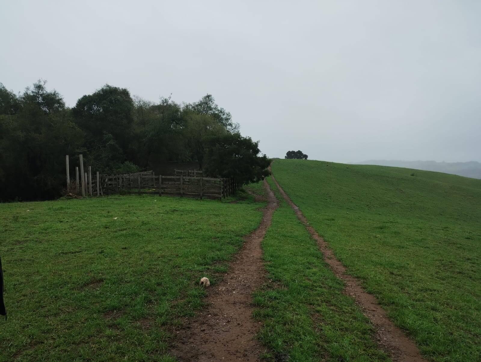 Terreno - Foto 9