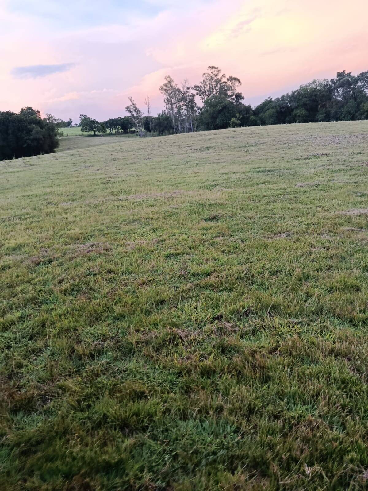 Terreno - Foto 14