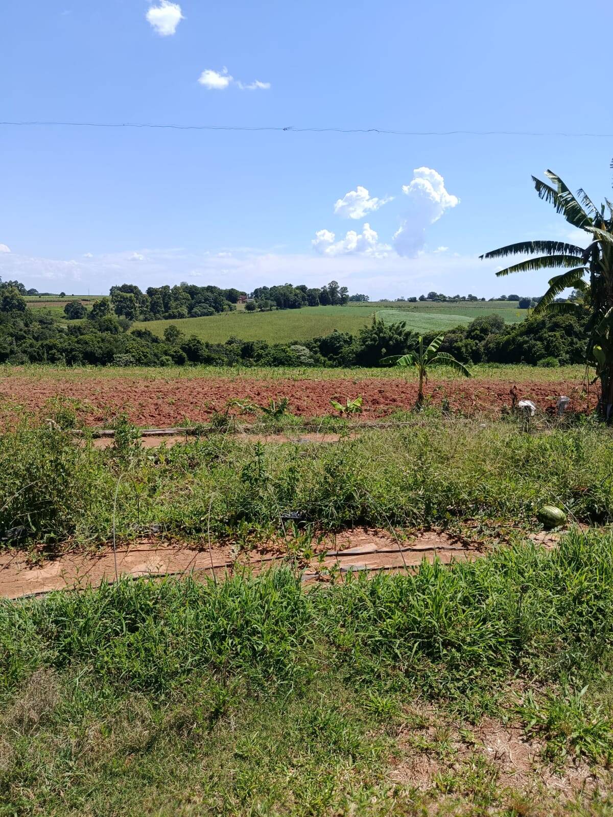 Terreno, 10 hectares - Foto 7