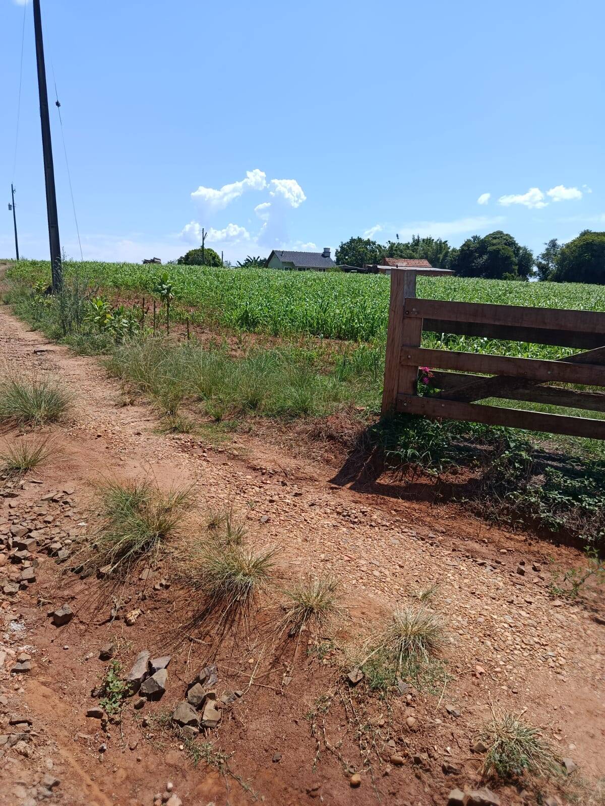 Terreno, 10 hectares - Foto 11