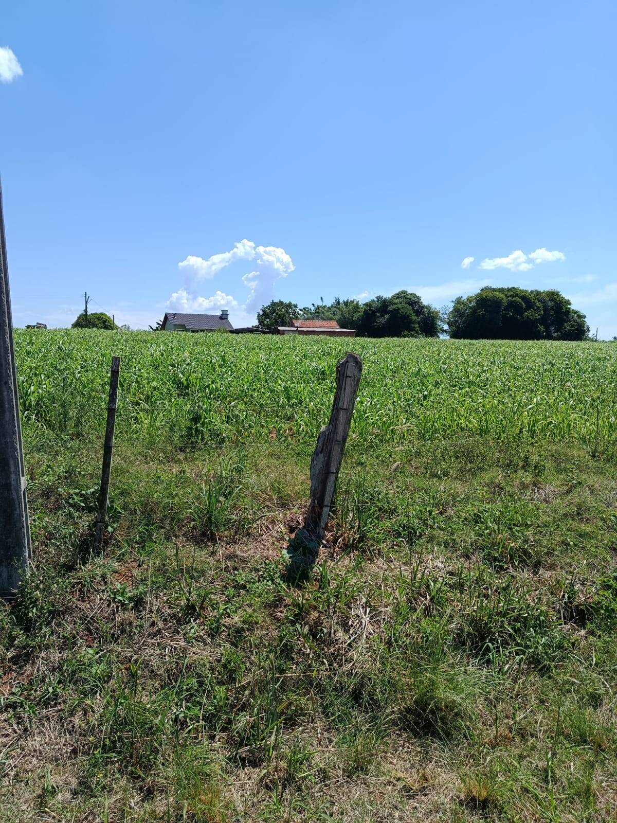 Terreno, 10 hectares - Foto 13