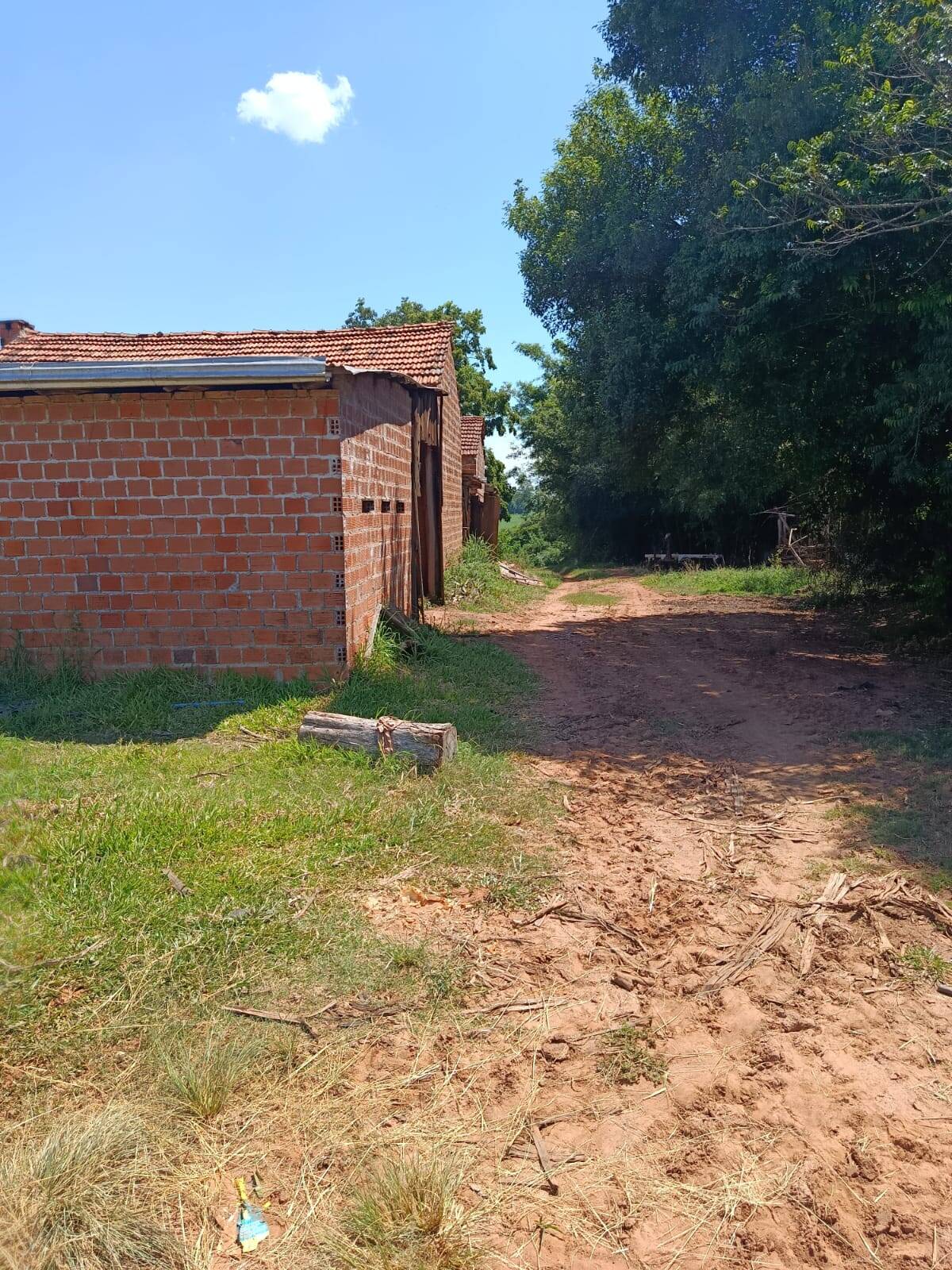 Terreno, 10 hectares - Foto 26
