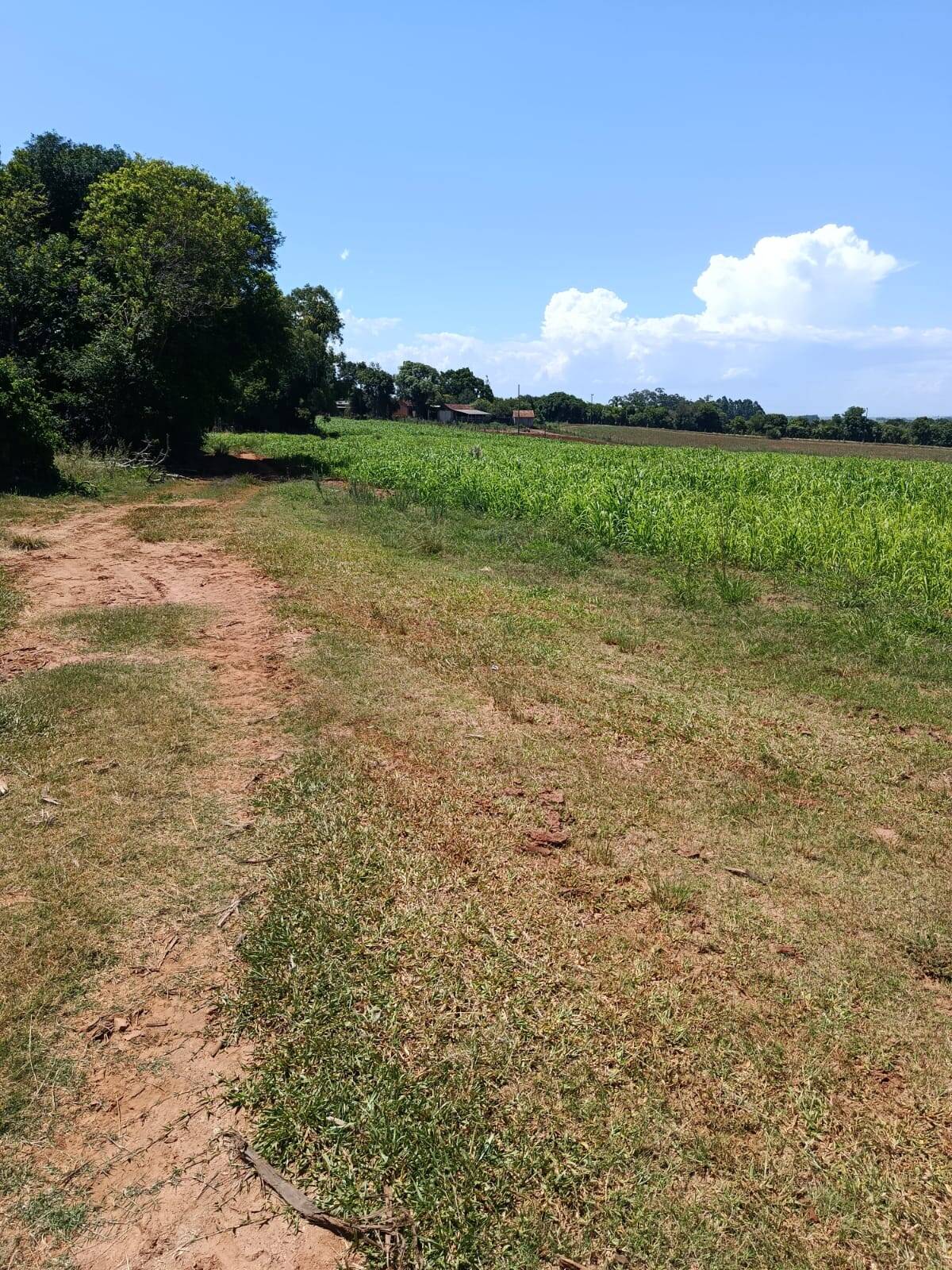 Terreno, 10 hectares - Foto 29