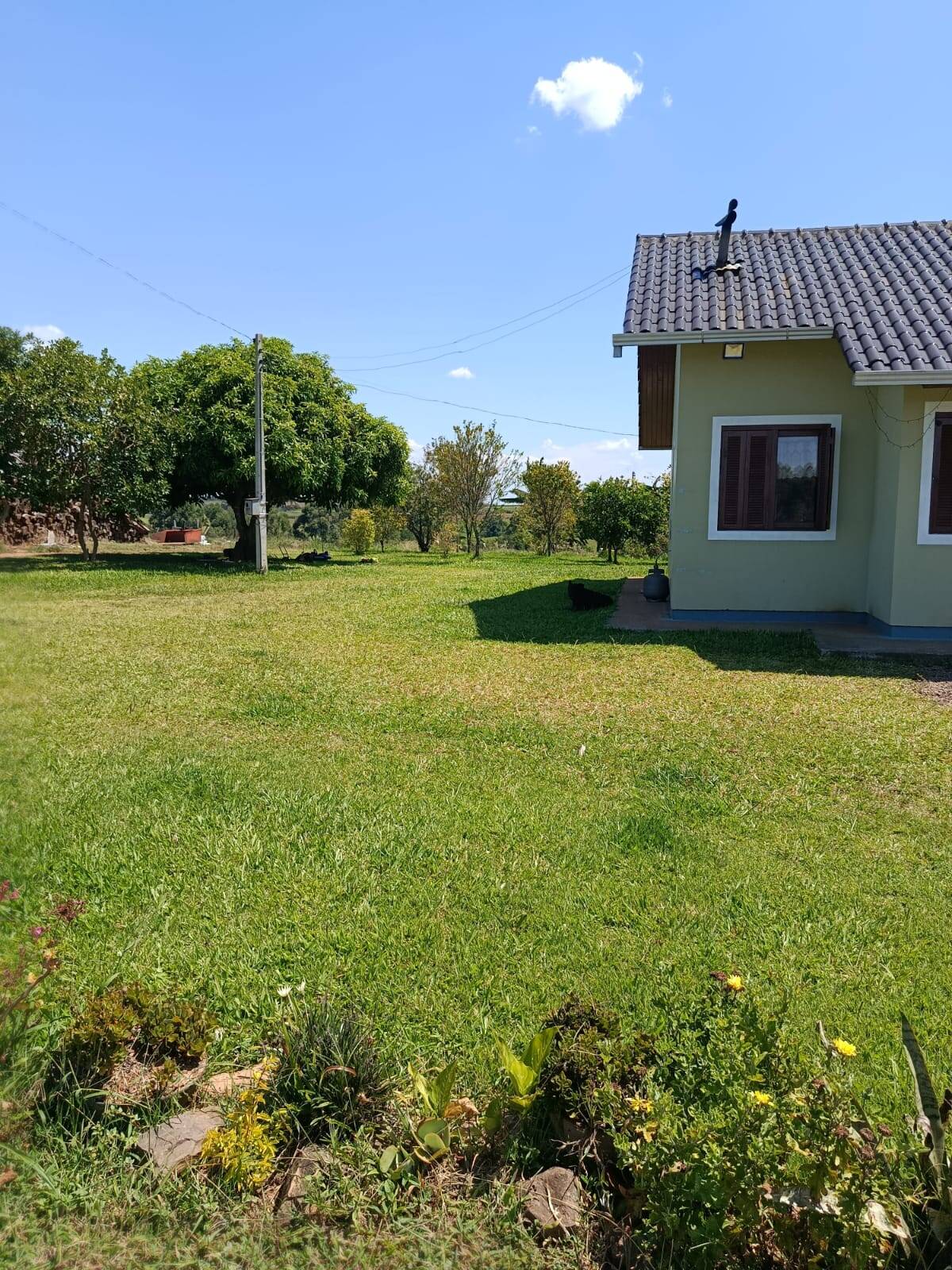 Terreno, 10 hectares - Foto 27