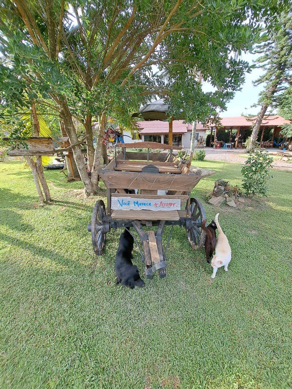 Chácara, 3 quartos, 5000 m² - Foto 6