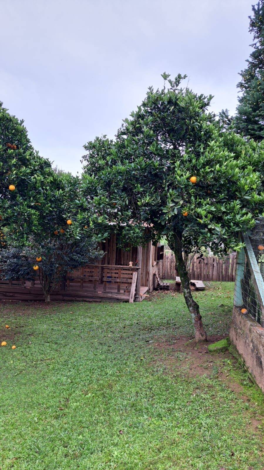 Chácara, 3 quartos, 5000 m² - Foto 13