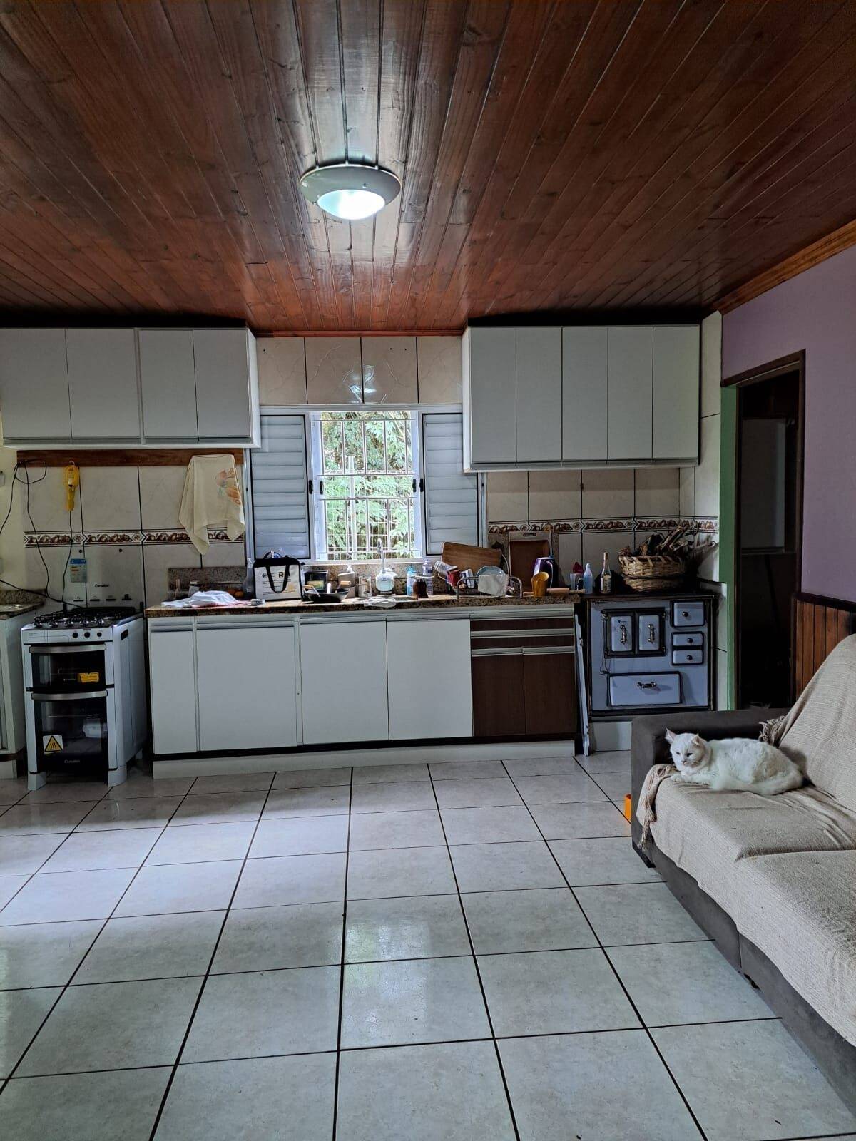 Chácara, 3 quartos, 5000 m² - Foto 16