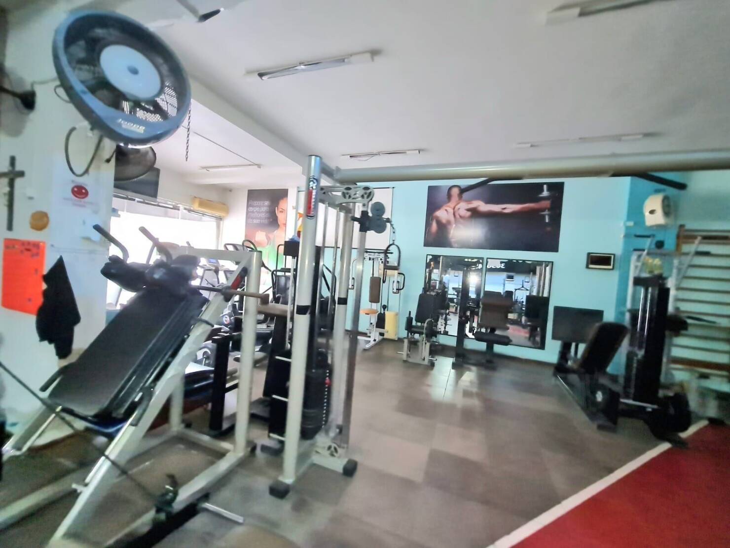 Sala-Conjunto, 400 m² - Foto 3