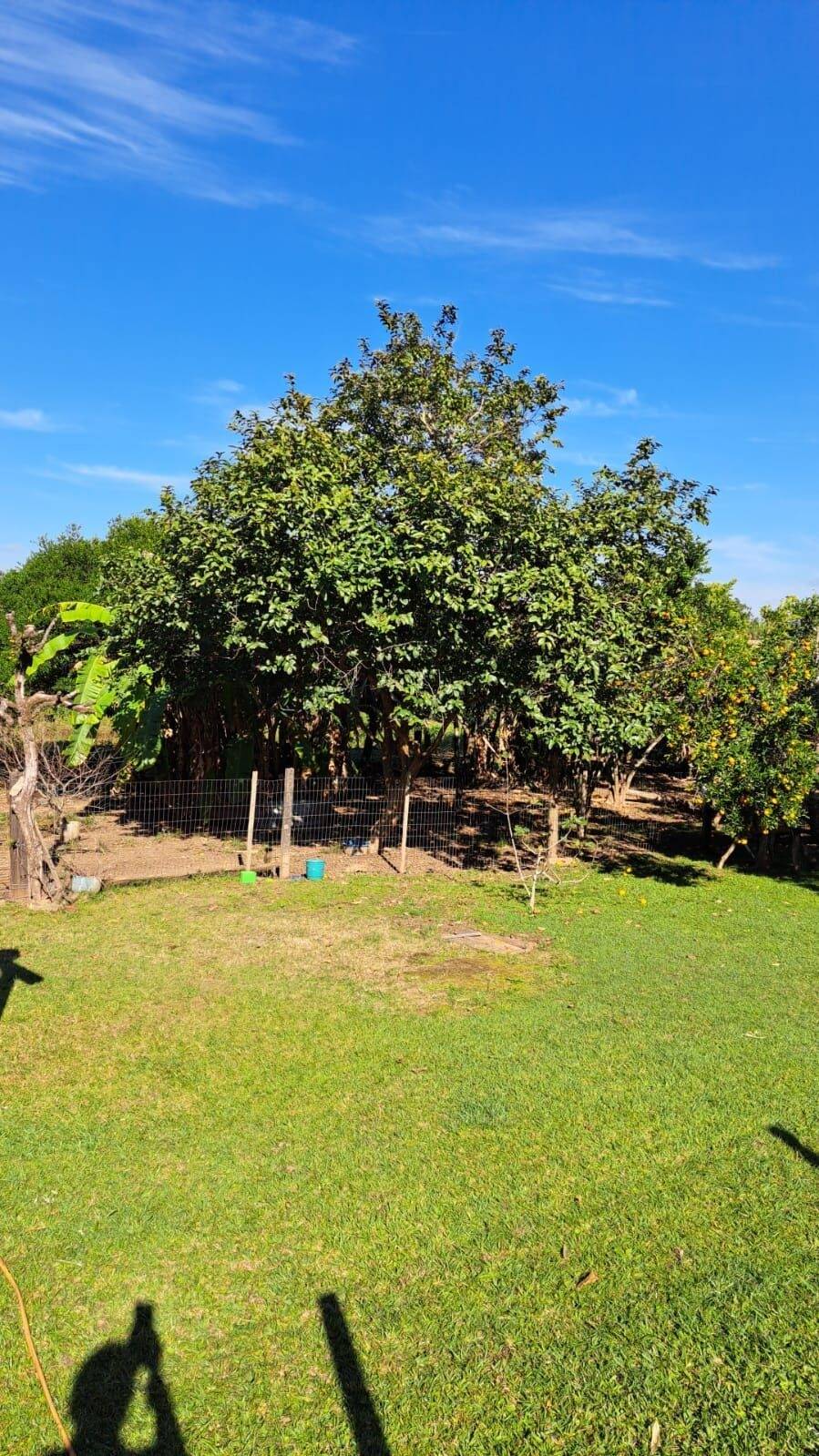 Chácara, 3 quartos, 5000 m² - Foto 31