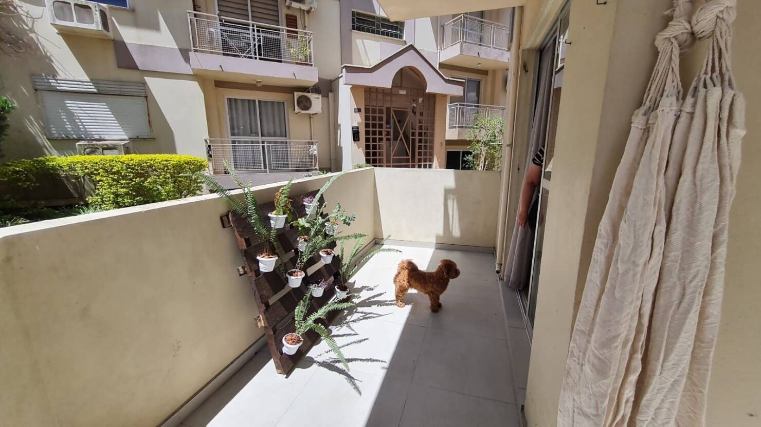 Apartamento à venda com 3 quartos, 79m² - Foto 23