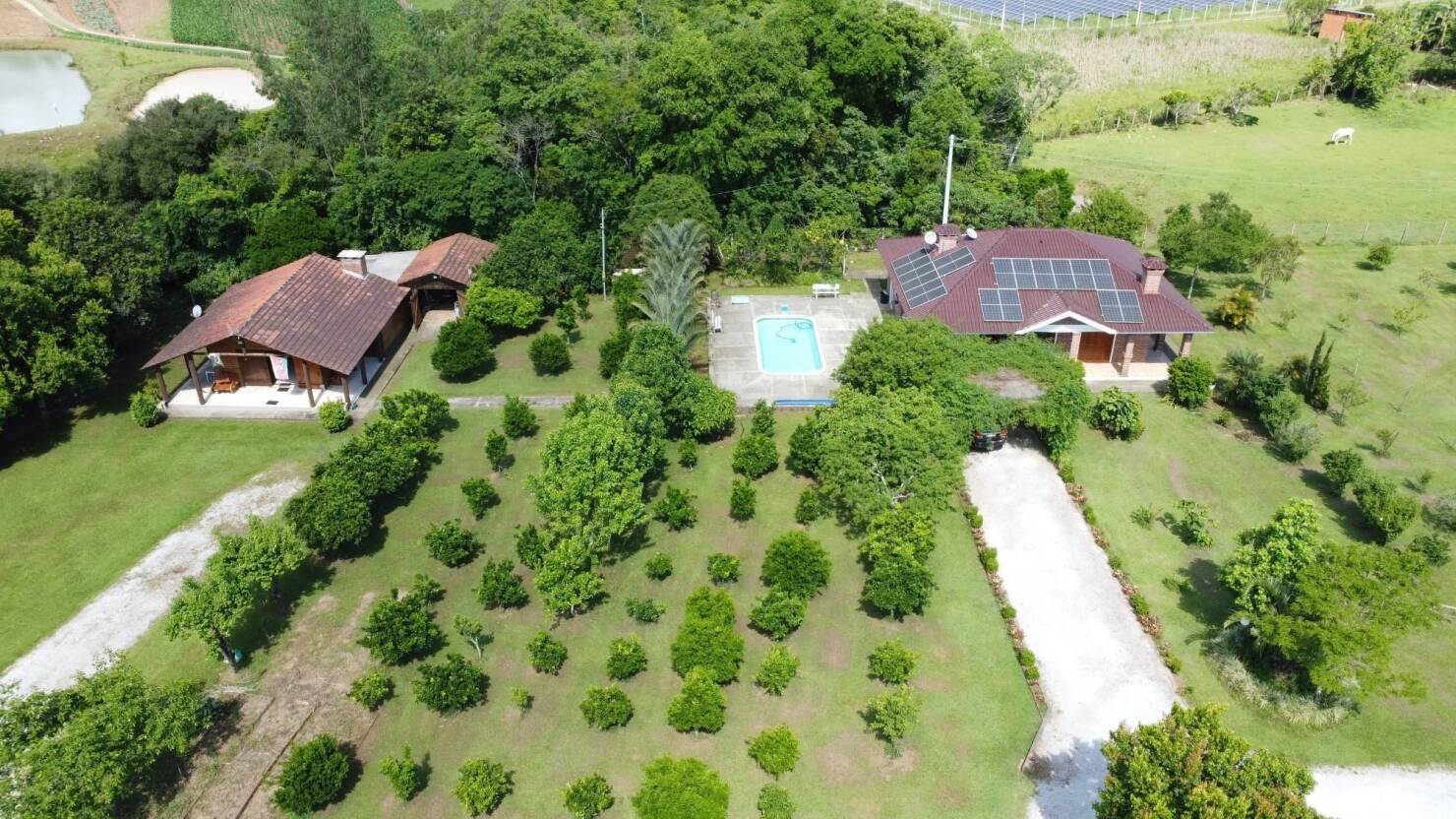 Chácara, 3 quartos, 10000 m² - Foto 7