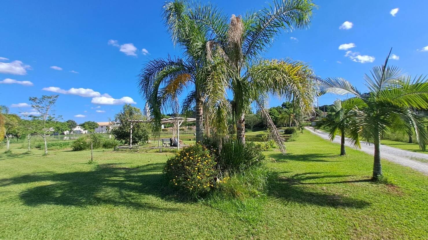 Chácara, 3 quartos, 10000 m² - Foto 19