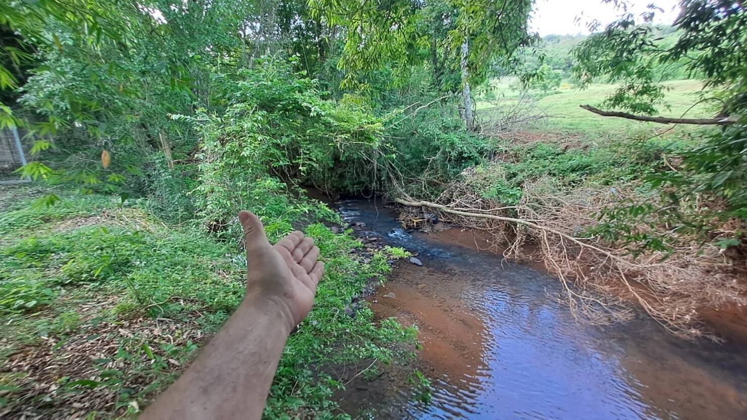 Chácara, 3 quartos, 10000 m² - Foto 20