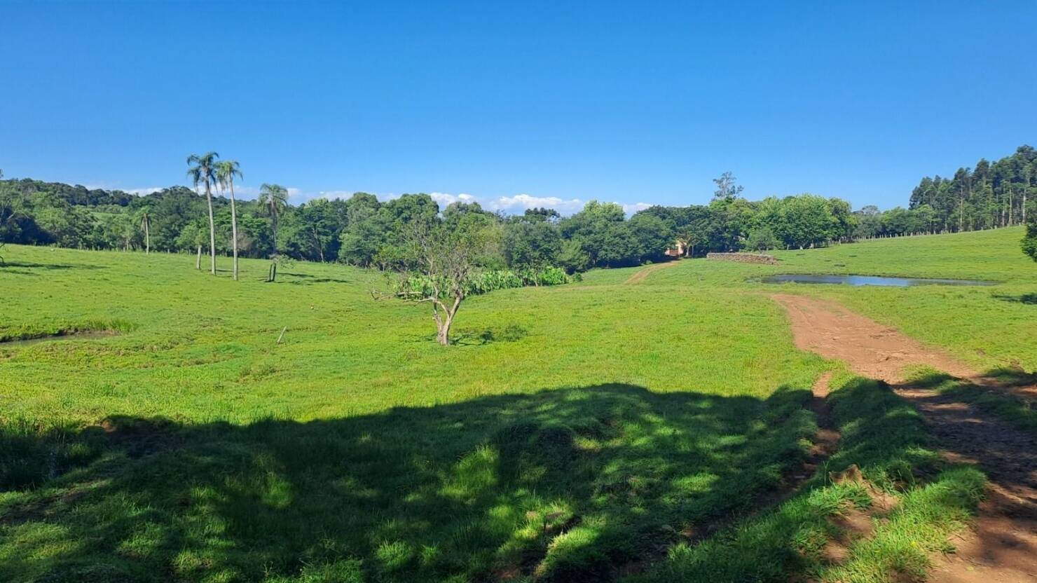 Fazenda, 21 hectares - Foto 1