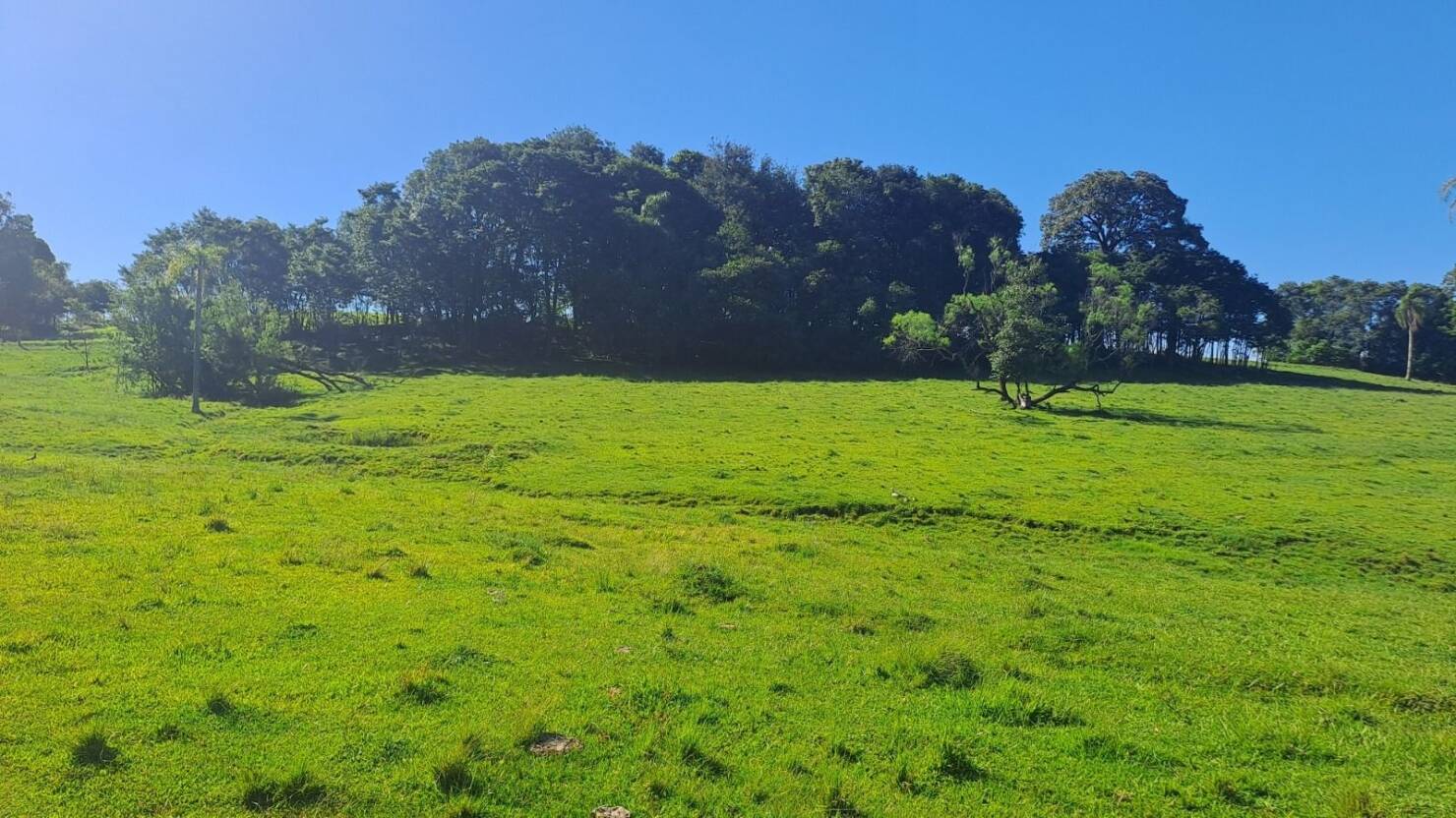 Fazenda, 21 hectares - Foto 2