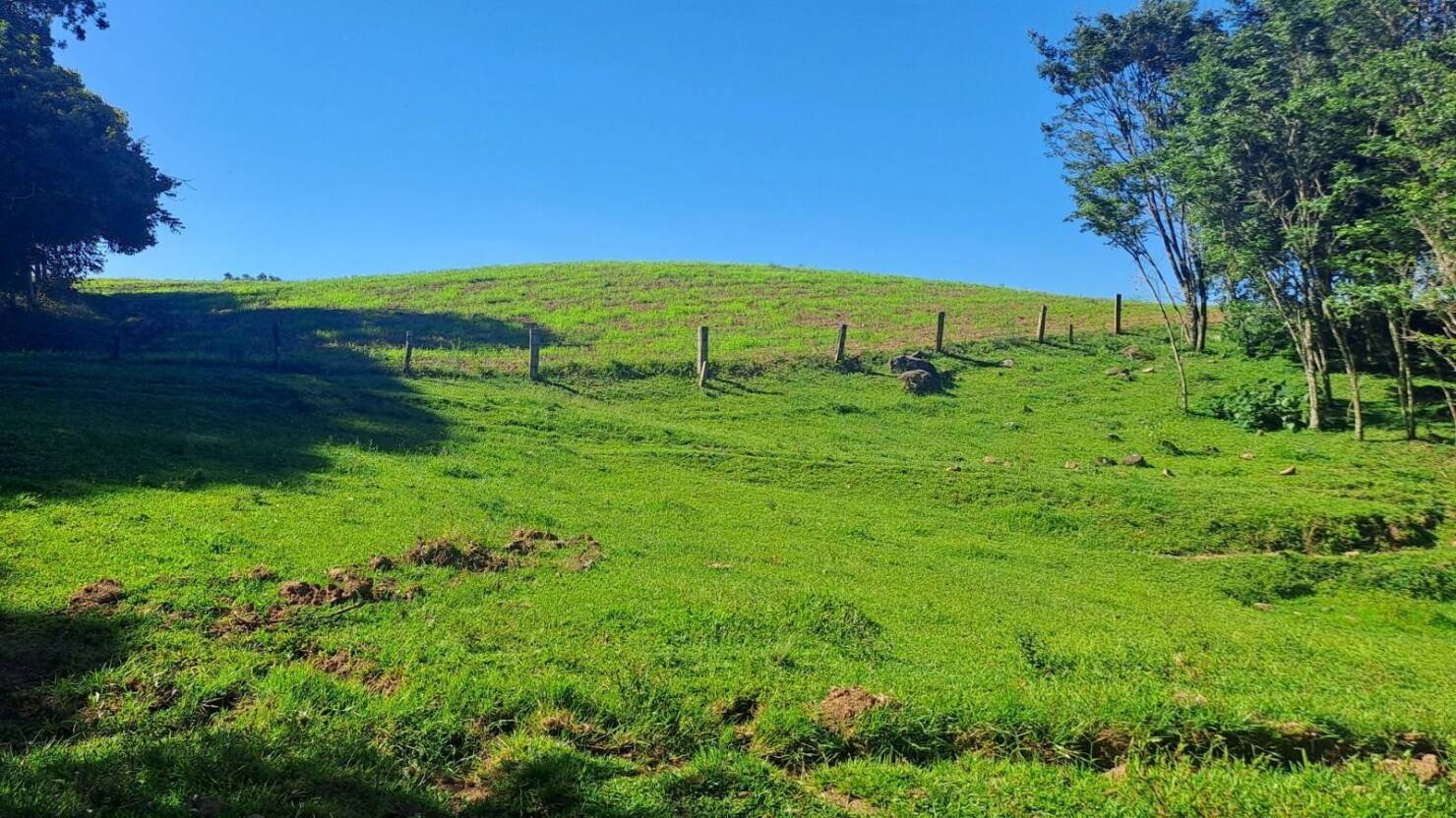 Fazenda, 21 hectares - Foto 3
