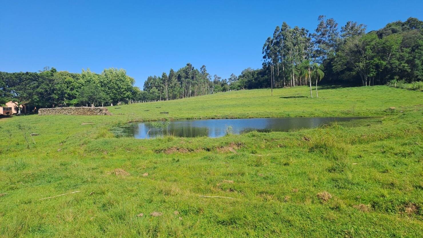 Fazenda, 21 hectares - Foto 4