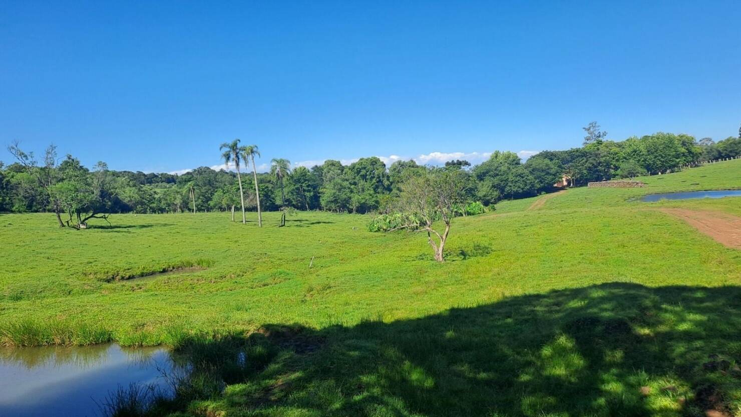 Fazenda, 21 hectares - Foto 5