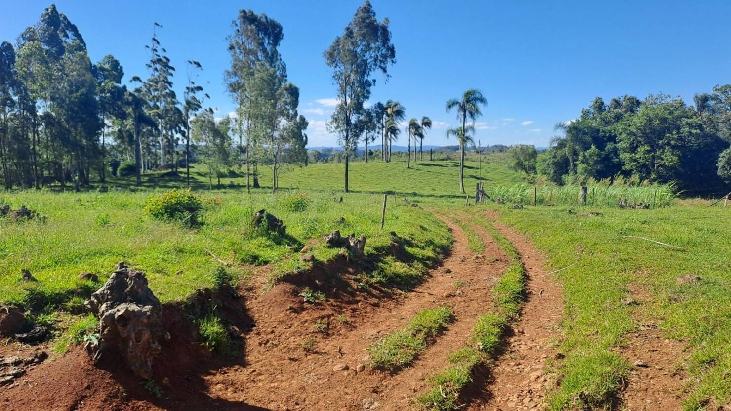 Fazenda, 21 hectares - Foto 8