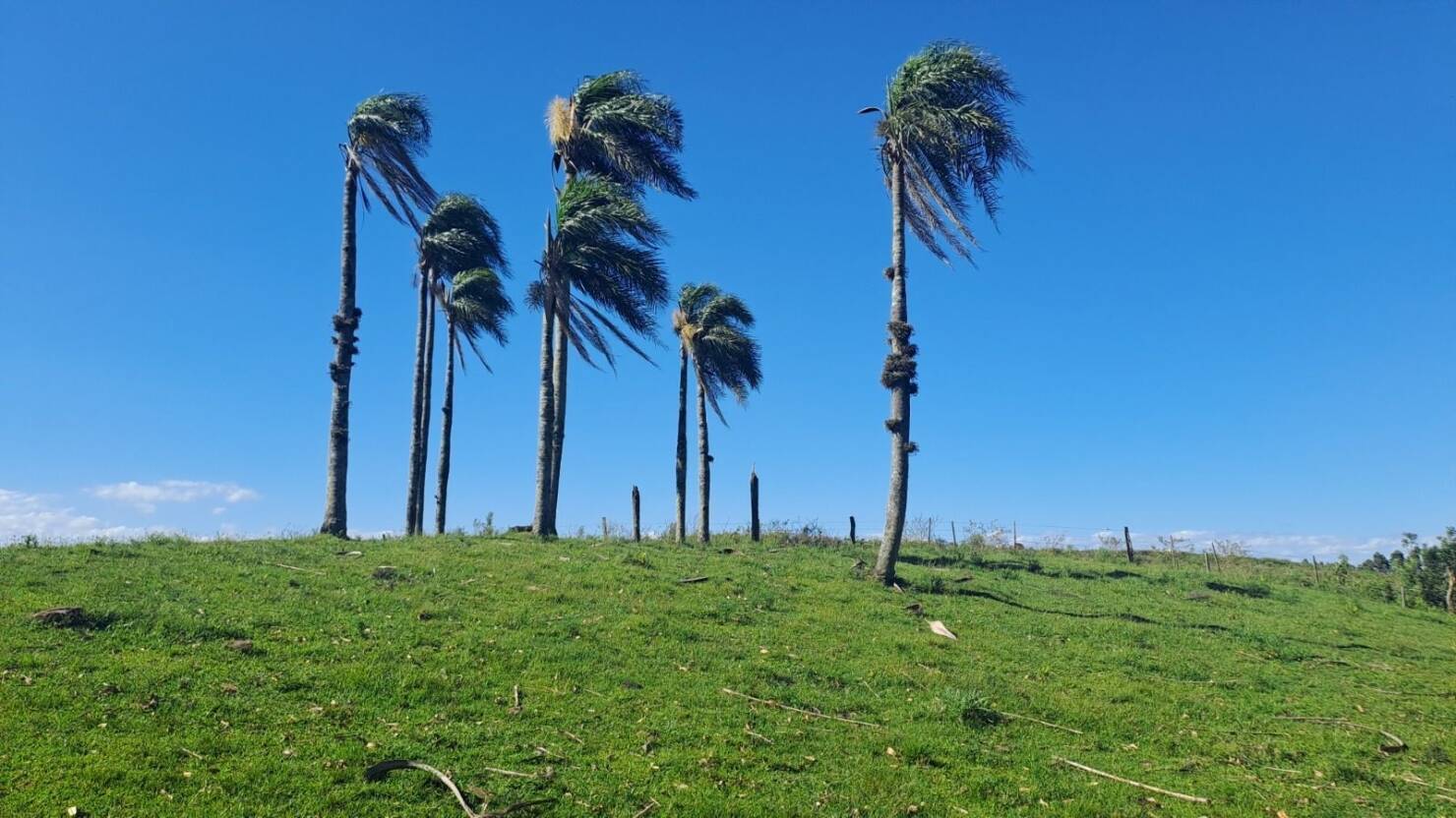 Fazenda, 21 hectares - Foto 9