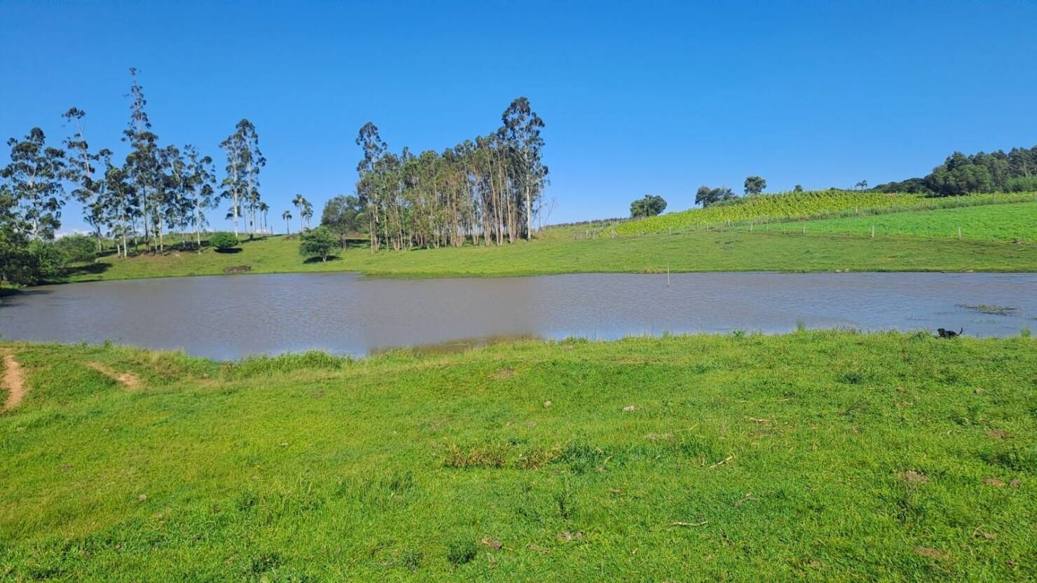 Fazenda, 21 hectares - Foto 10