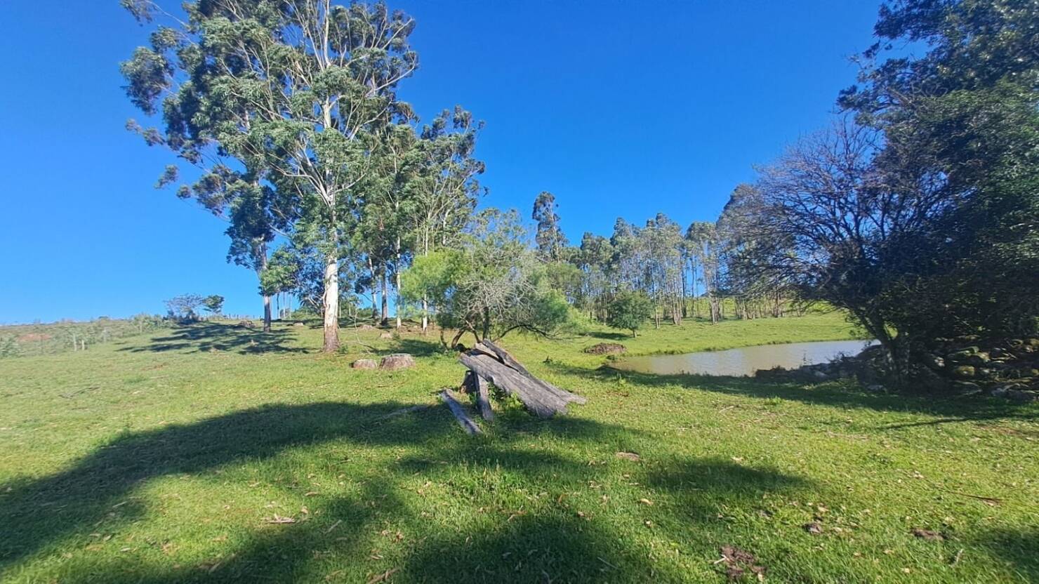 Fazenda, 21 hectares - Foto 17