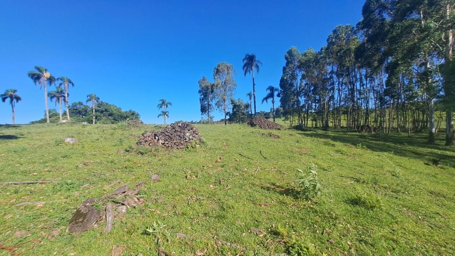 Fazenda, 21 hectares - Foto 18