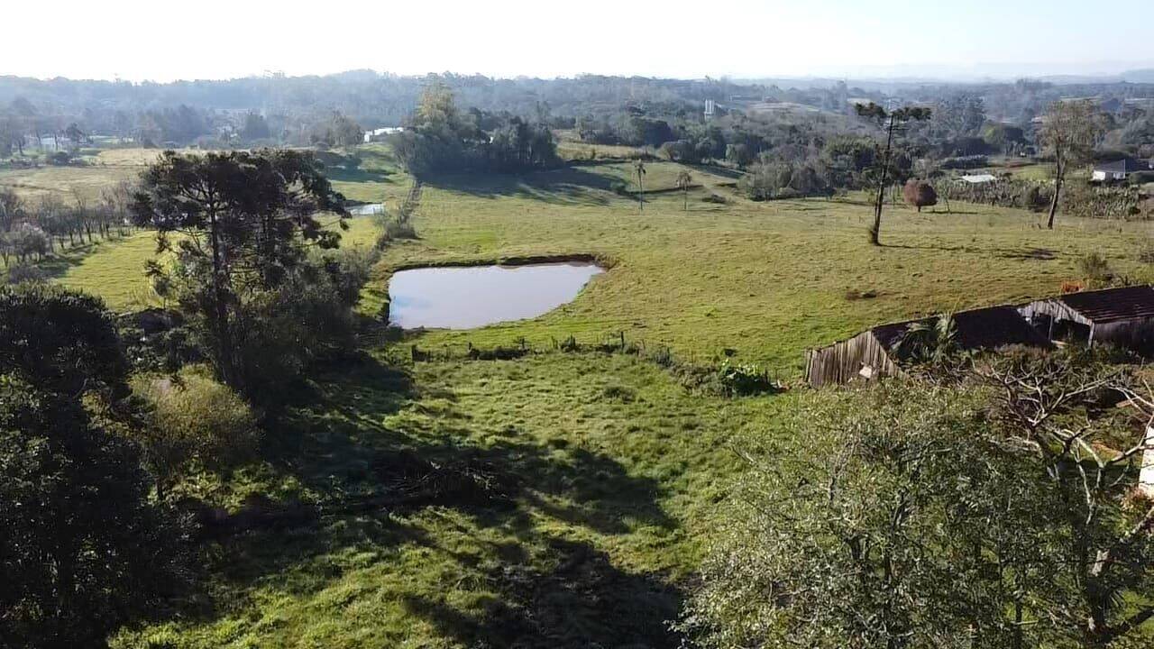 Terreno, 2 hectares - Foto 6