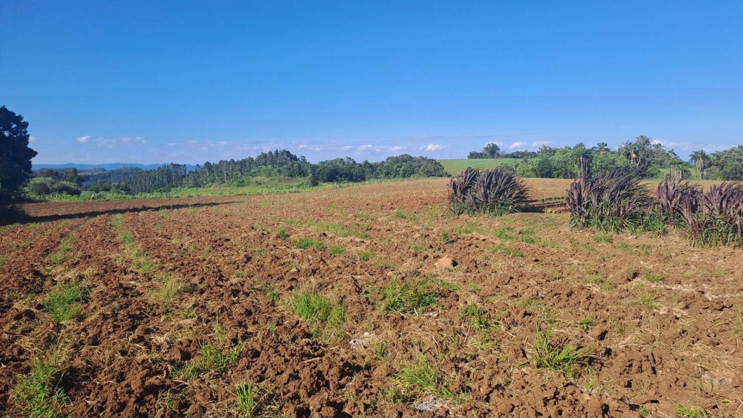Fazenda, 21 hectares - Foto 20