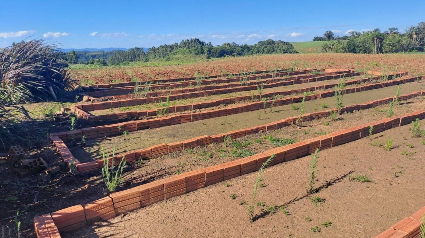 Fazenda, 21 hectares - Foto 21
