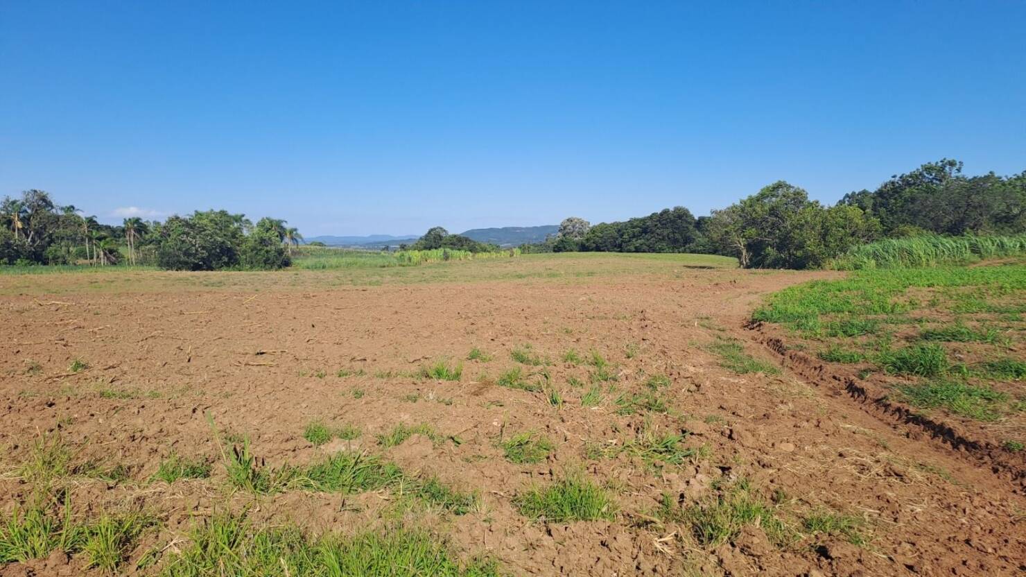 Fazenda, 21 hectares - Foto 22