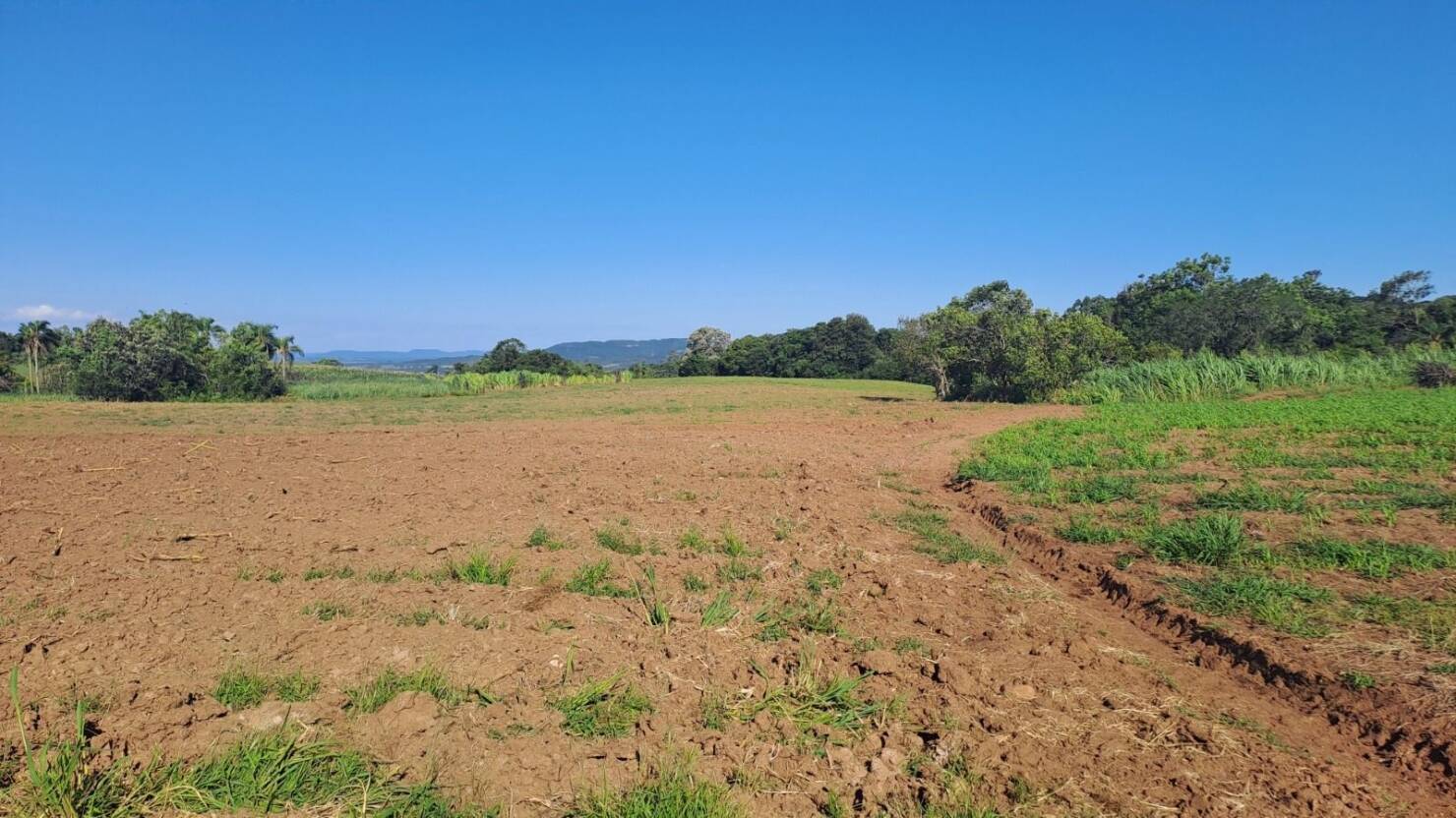 Fazenda, 21 hectares - Foto 23