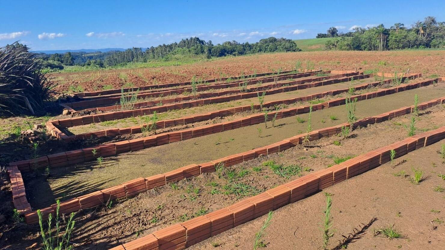 Fazenda, 21 hectares - Foto 24