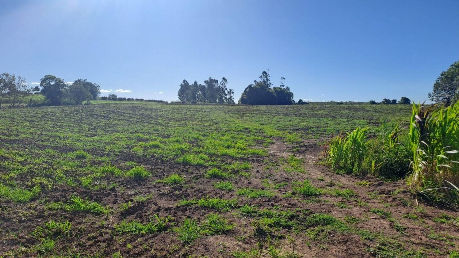 Fazenda, 21 hectares - Foto 27